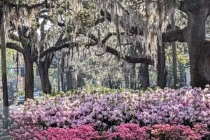 Lamers Tour & Travel