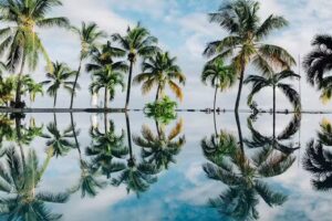 Land or Sea Travels/Cruise Planners