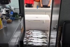 Last Frontier Charters