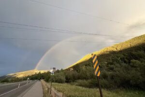 Latitude Lizz Travel