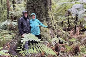 Latitude South Travel Company – Luxury Tours & Travel in New Zealand & Australia