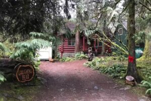 Laughing Bear Log cabin