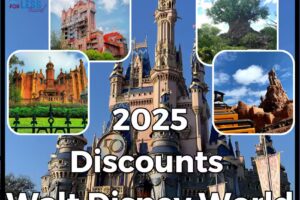 Laura Fitzpatrick- Travel Agent