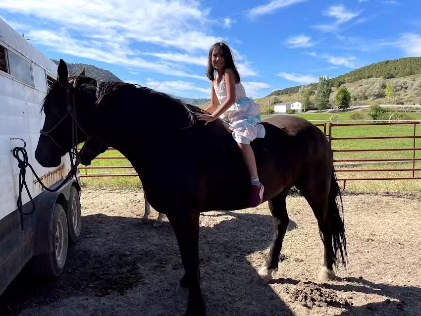 Lava Horseback Adventures LLC