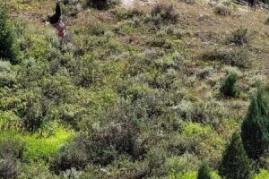 Lava Zipline Adventure