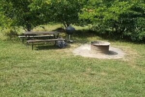 Lazy Bee Log Cabin Rental