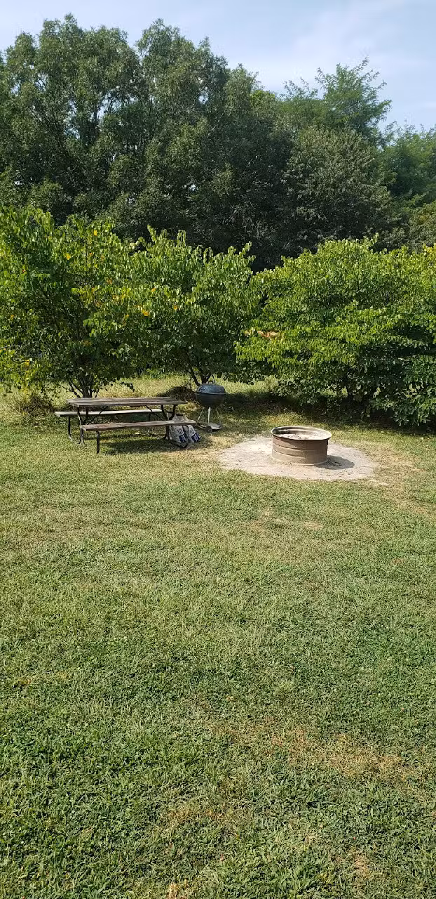 Lazy Bee Log Cabin Rental