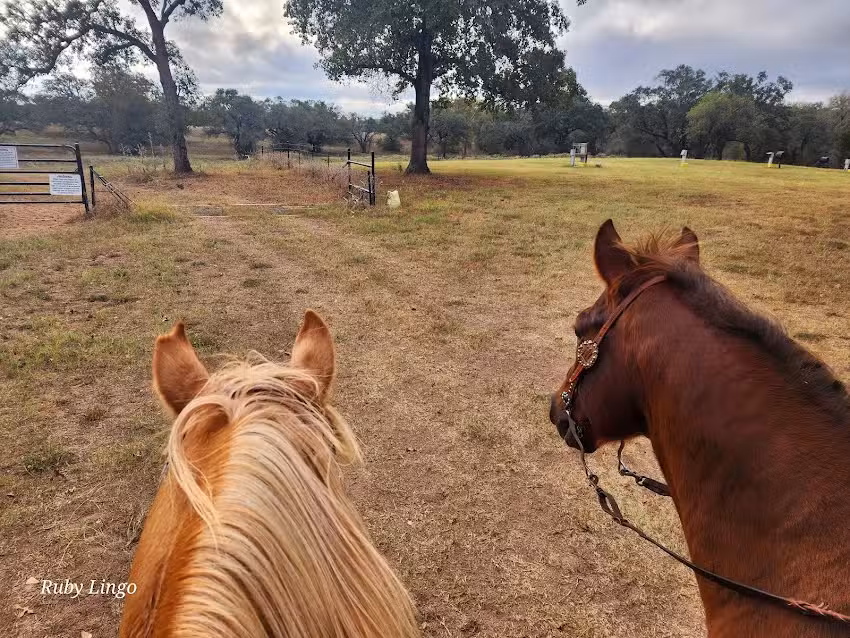 Lazy F Guest Ranch &ndash; Trail Ride Texas
