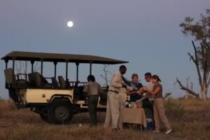 Lazy Lizard Travel LLC