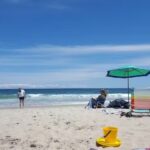 LBI Beach Rentals