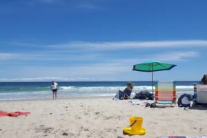 LBI Beach Rentals