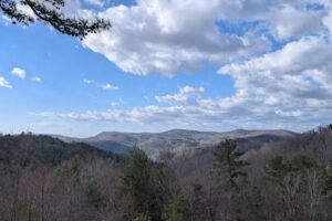 Leatherwood Mountains Cabin Rentals