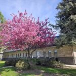 Legacy Tour & Travel