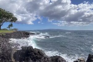 Let’s Go Lux Travel