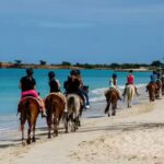 Let&rsquo;s Go Places Travel, LLC