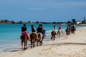 Let’s Go Places Travel, LLC