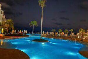 Let’s Travel .Expert