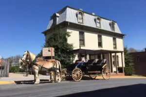 Lexington Carriage Company