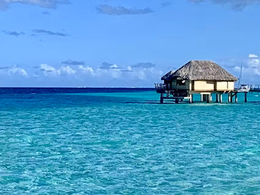 Liahona Travel & Cruises, a Division of Riverdale Travel