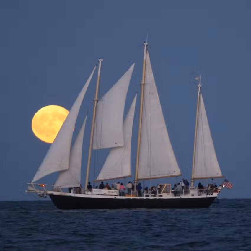 Liberte, The Schooner