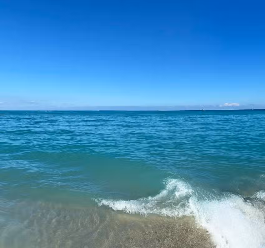 Lifetime Travel Connections