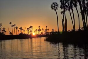 Light Lines & Good Times