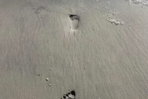 Light the Way Travel Agency