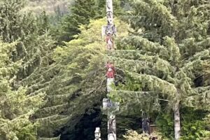 Lighthouse Excursions