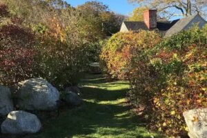 Lighthouse Lane Cottages