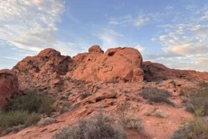 Lilly’s Tour Travel