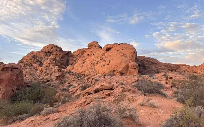 Lilly&rsquo;s Tour Travel