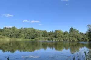 Lime Hollow Nature Center