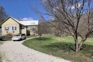 Linda’s Victorian Rose