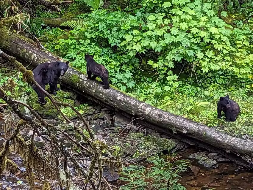 Lindsay Travel Professionals