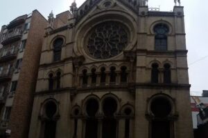 Lion/Tiger Travel Bus