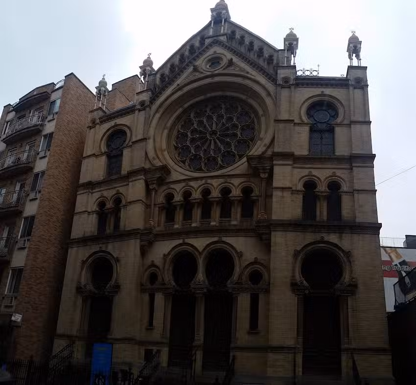 Lion/Tiger Travel Bus