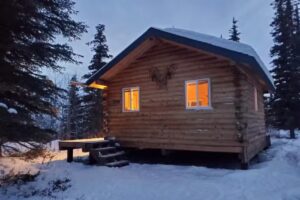 Little Bear Getaway Cabins