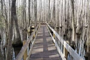 Little Ocmulgee Visitor Center