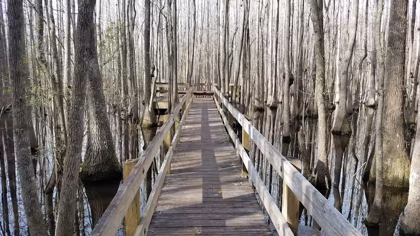 Little Ocmulgee Visitor Center