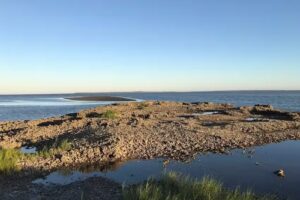 Little Raccoon Key-Tours, Charters, and Glamping