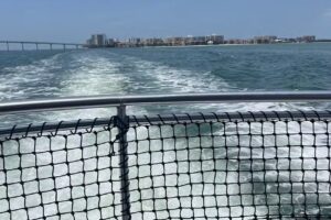 Little Toot Dolphin Adventure – #1 Dolphin Tour in the USA!