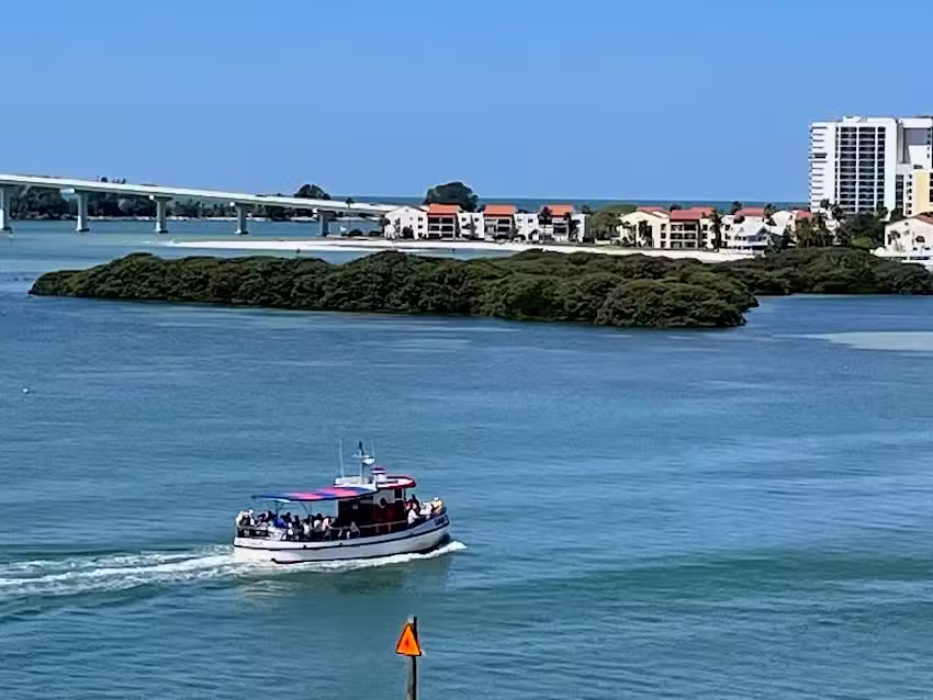 Little Toot Dolphin Adventure &ndash; #1 Dolphin Tour in the USA!