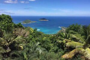 Live A Little Travel