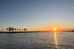 Livin’ Charters Excursions