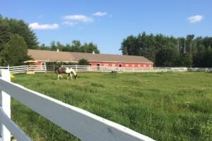 Living Wells Farm (Equestrian Facility)