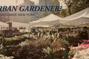 LOCALIKE New York: Personalized Travel Service