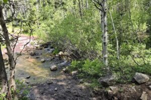 Logan Canyon Horseback Riding