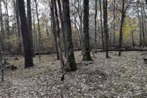 Logoly State Park Visitor Center