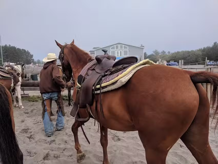 Long Beach Family Horse Rides