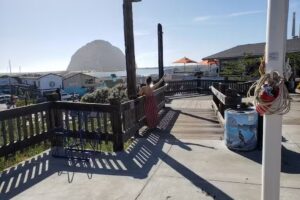 Lost Isle Adventures Harbor Tours & Whale Watching